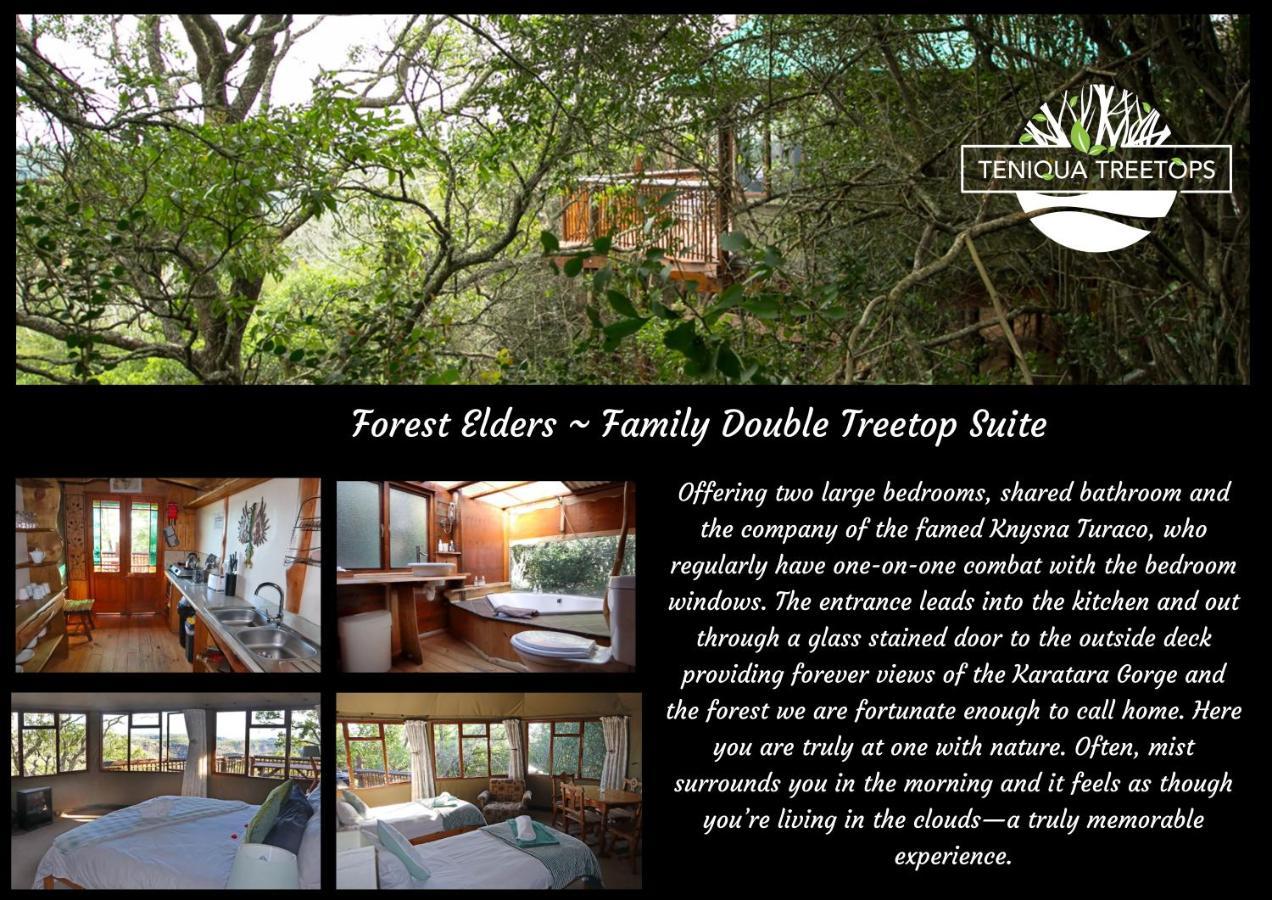 Teniqua Treetops Hotel Karatara Settlement Exterior foto