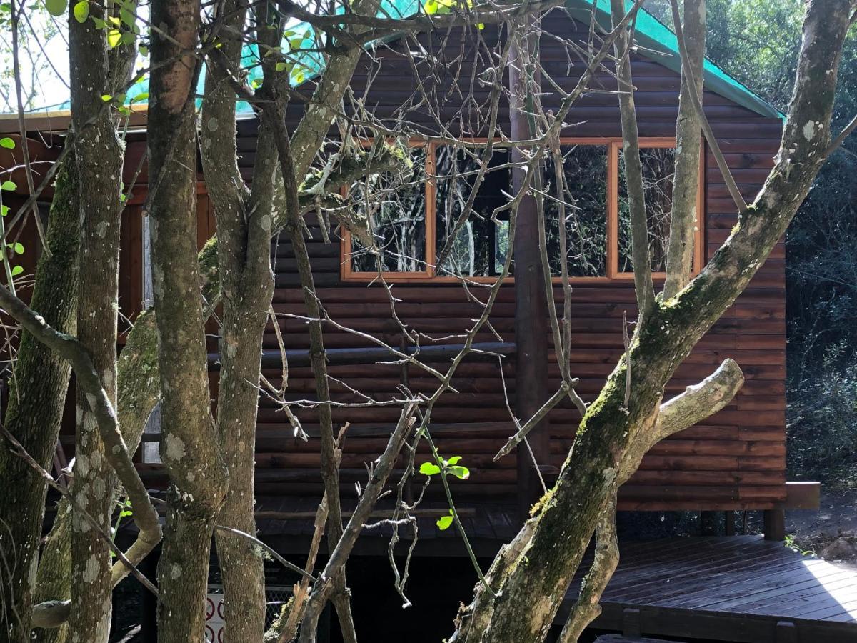 Teniqua Treetops Hotel Karatara Settlement Exterior foto