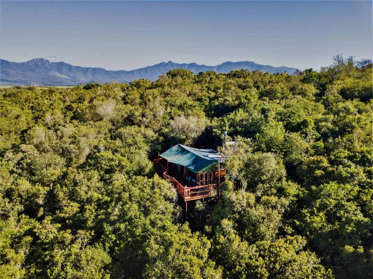 Teniqua Treetops Hotel Karatara Settlement Exterior foto