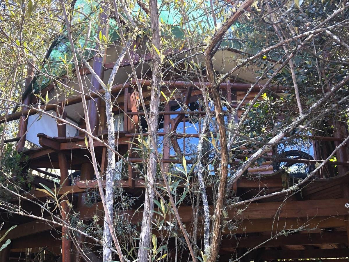 Teniqua Treetops Hotel Karatara Settlement Exterior foto