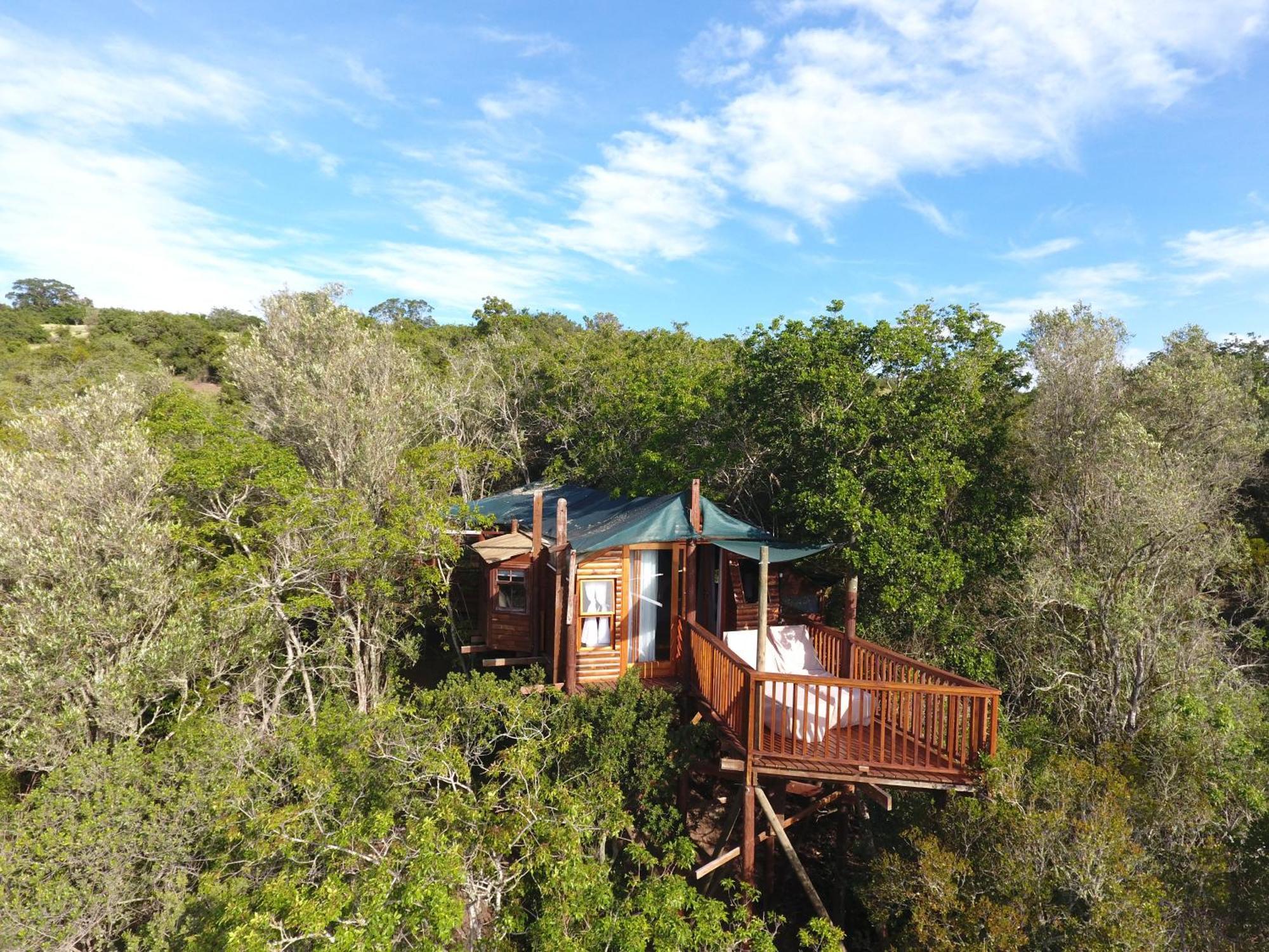 Teniqua Treetops Hotel Karatara Settlement Exterior foto