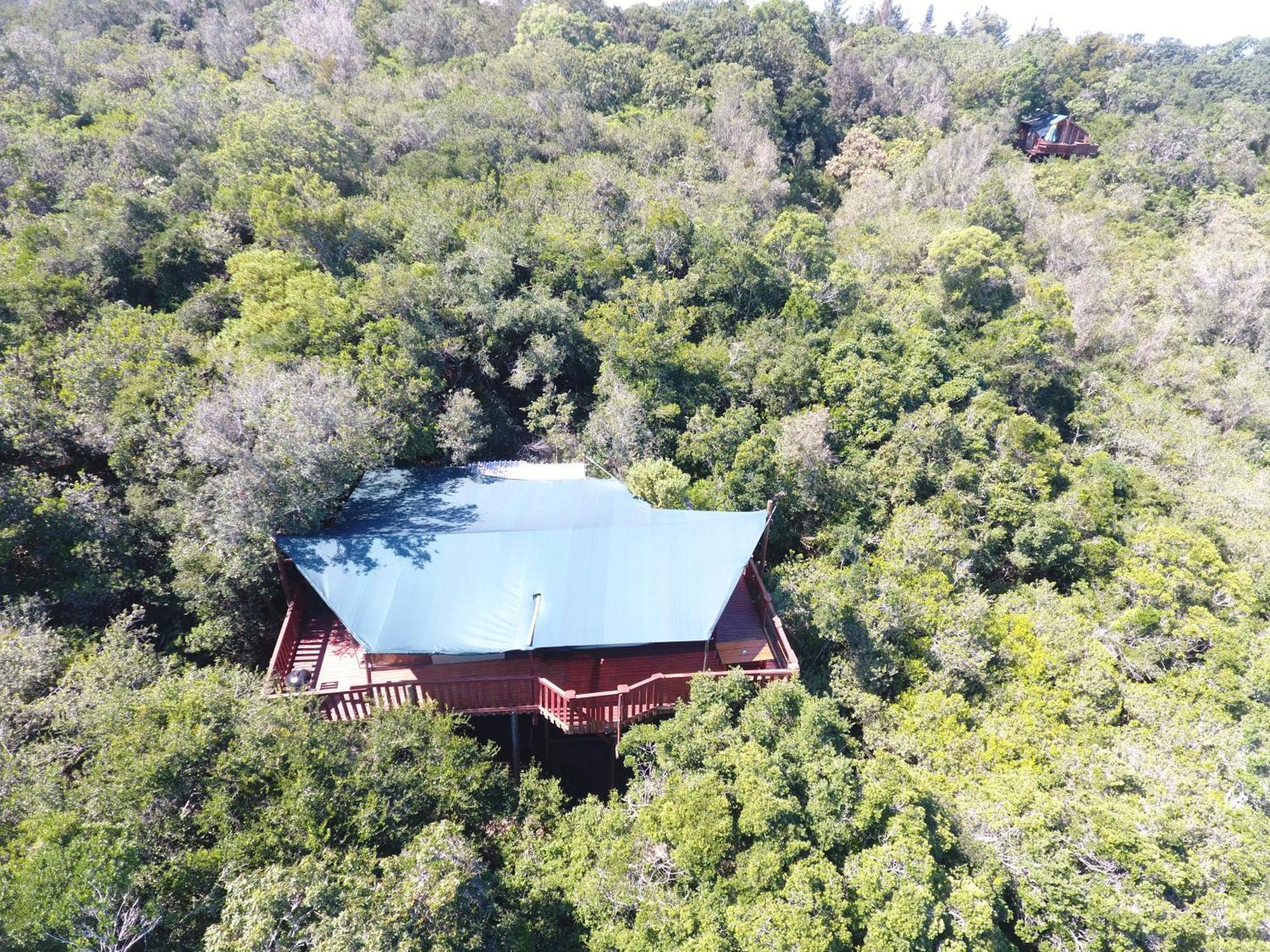 Teniqua Treetops Hotel Karatara Settlement Exterior foto