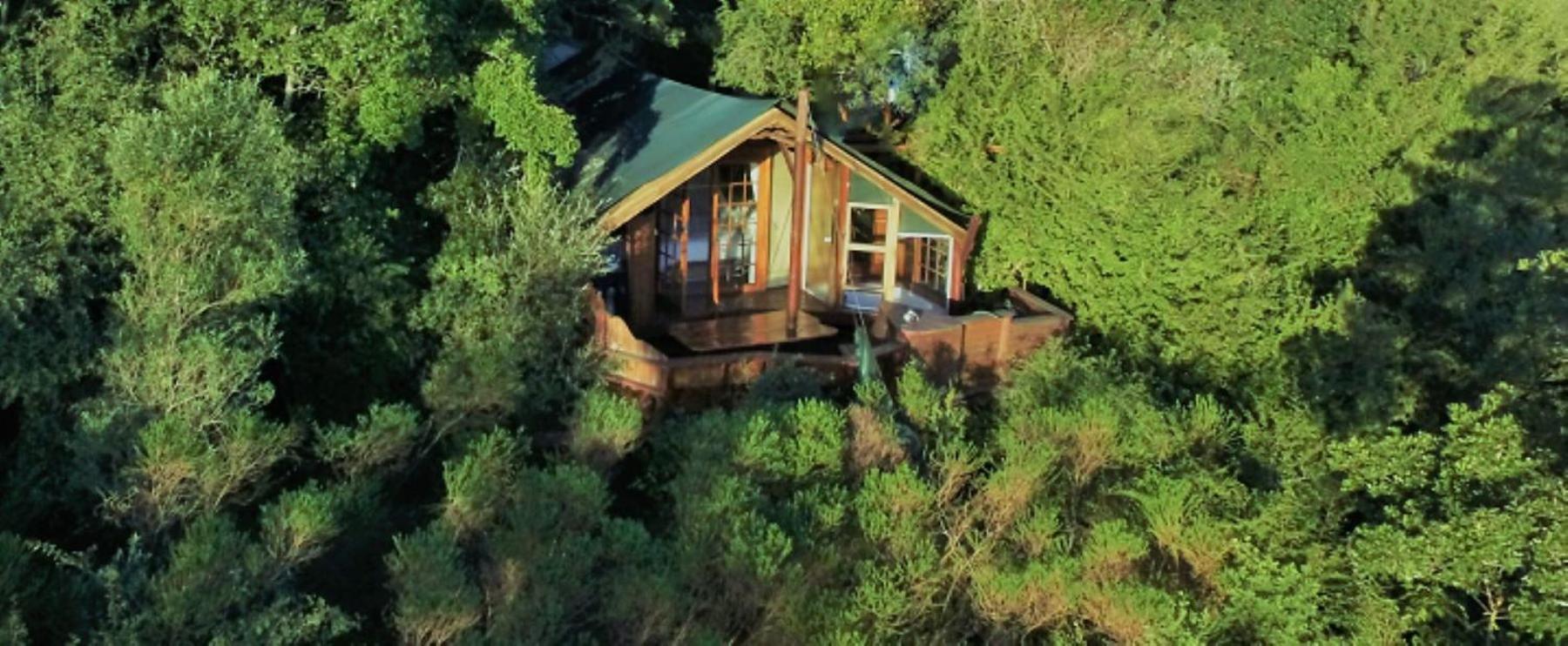 Teniqua Treetops Hotel Karatara Settlement Exterior foto