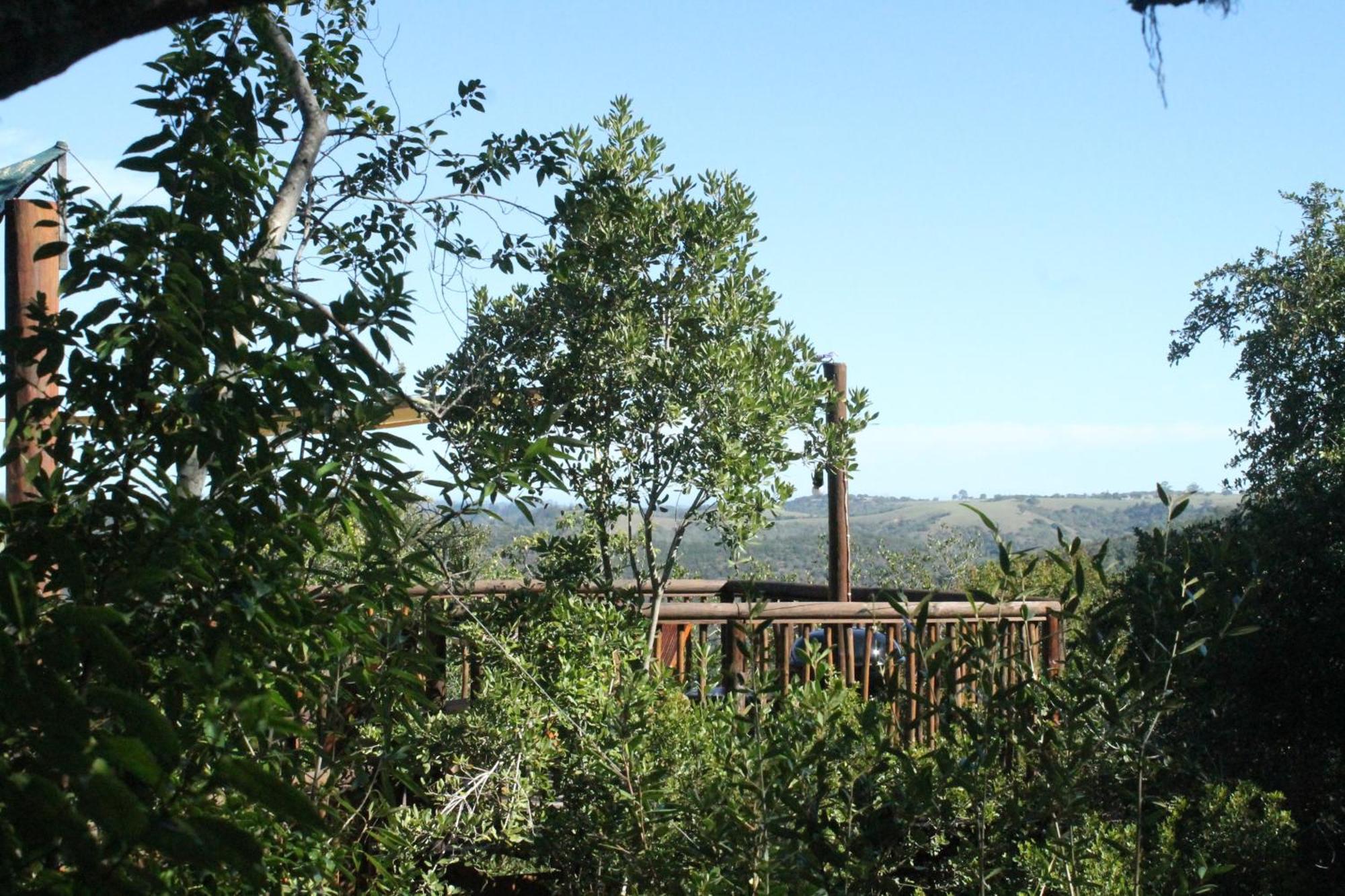 Teniqua Treetops Hotel Karatara Settlement Exterior foto