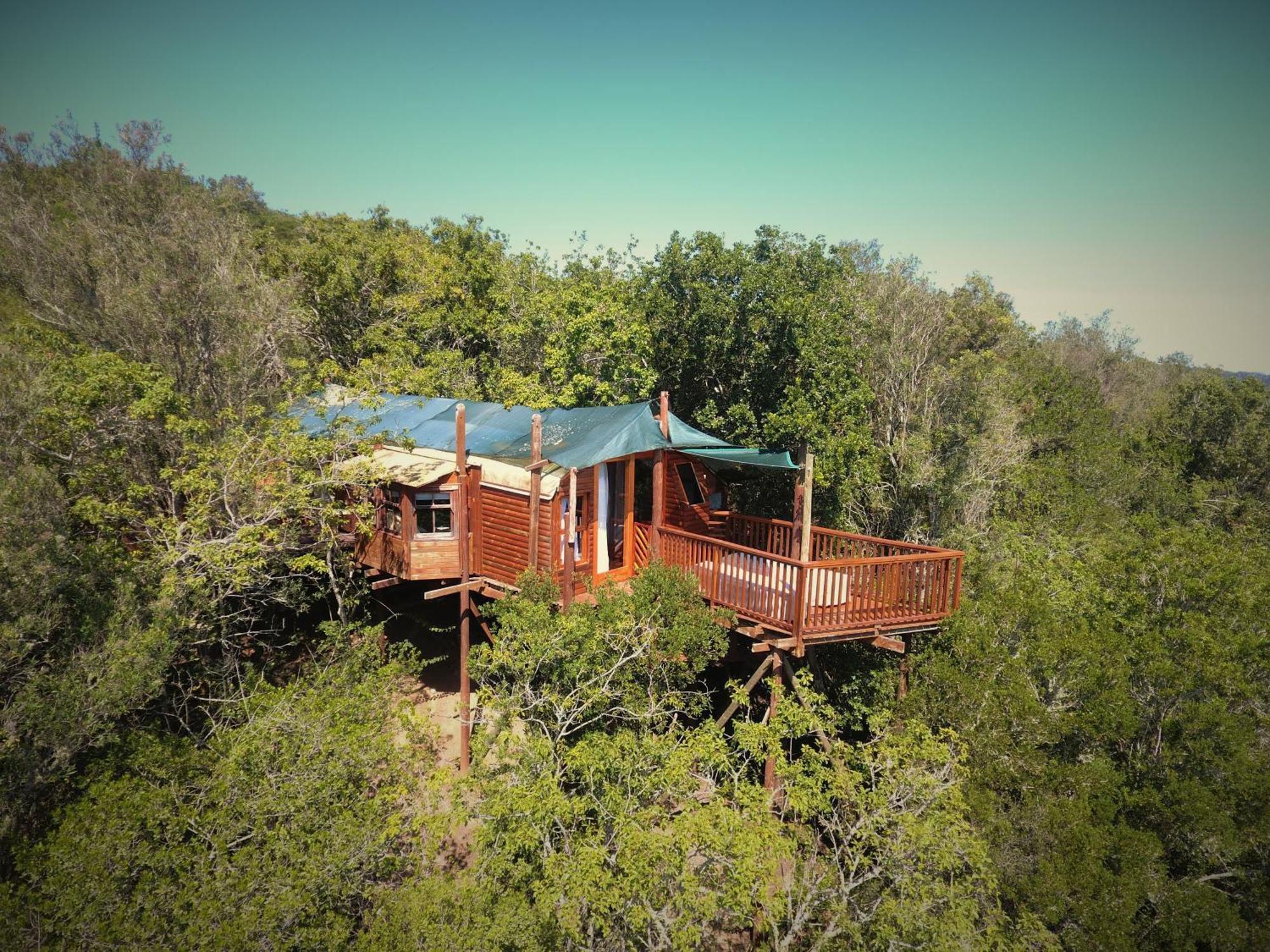 Teniqua Treetops Hotel Karatara Settlement Exterior foto