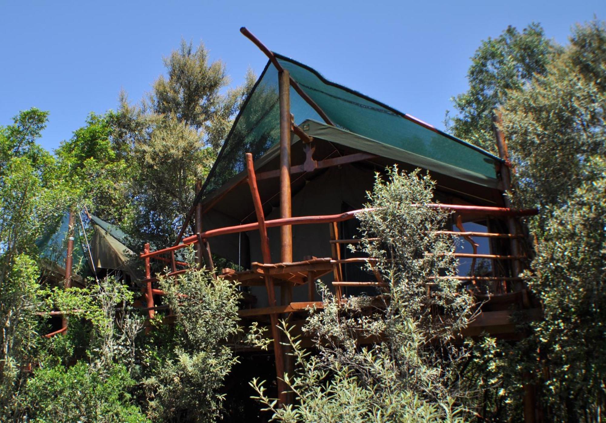 Teniqua Treetops Hotel Karatara Settlement Exterior foto