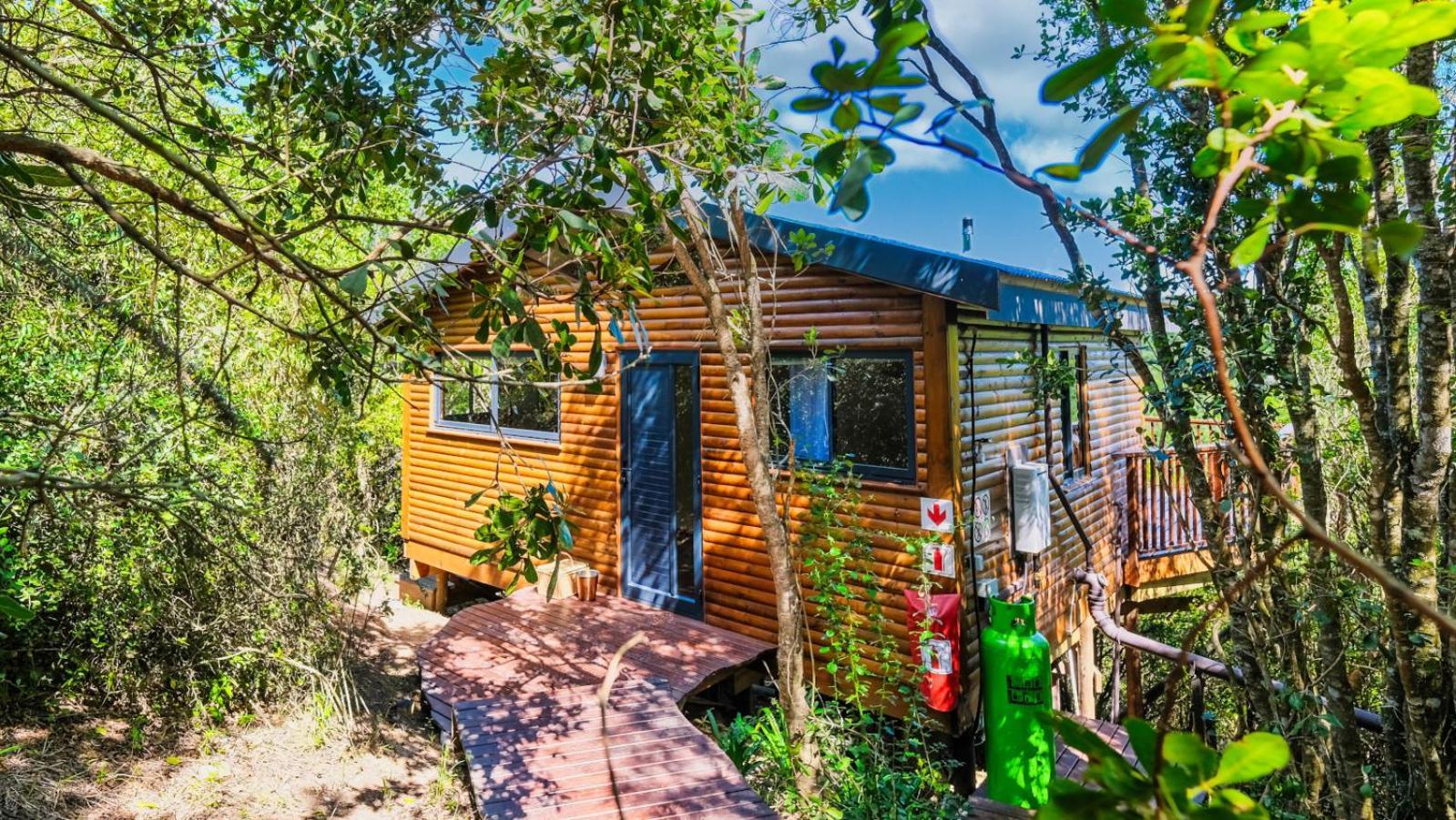 Teniqua Treetops Karatara Settlement Cameră foto