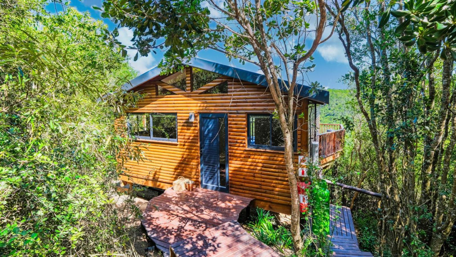 Teniqua Treetops Karatara Settlement Cameră foto