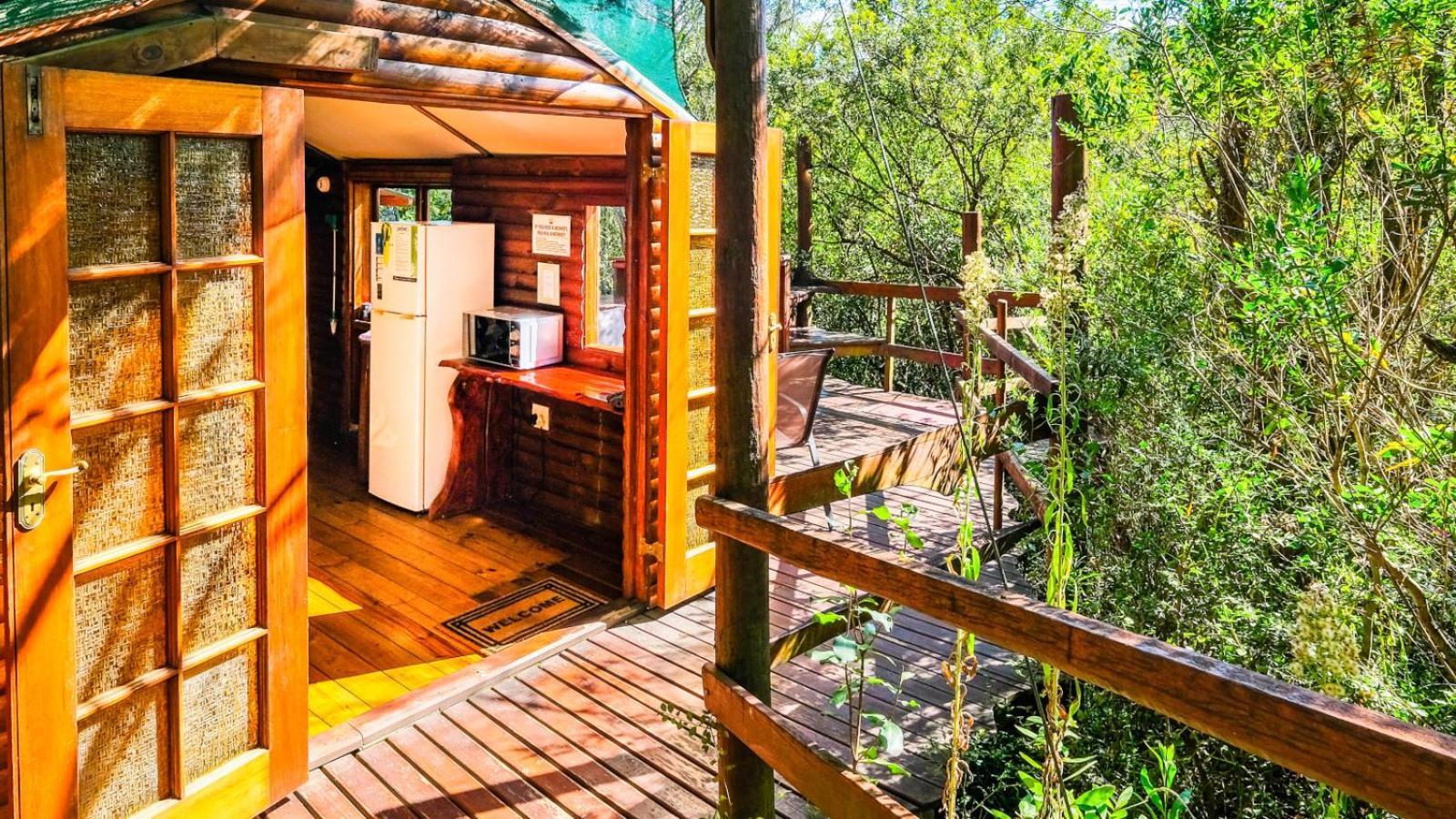 Teniqua Treetops Karatara Settlement Cameră foto