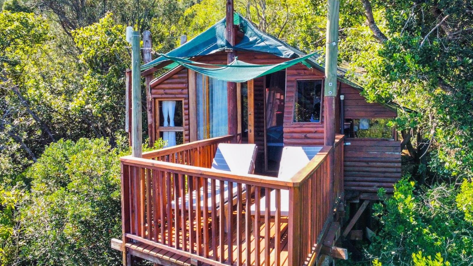 Teniqua Treetops Karatara Settlement Cameră foto