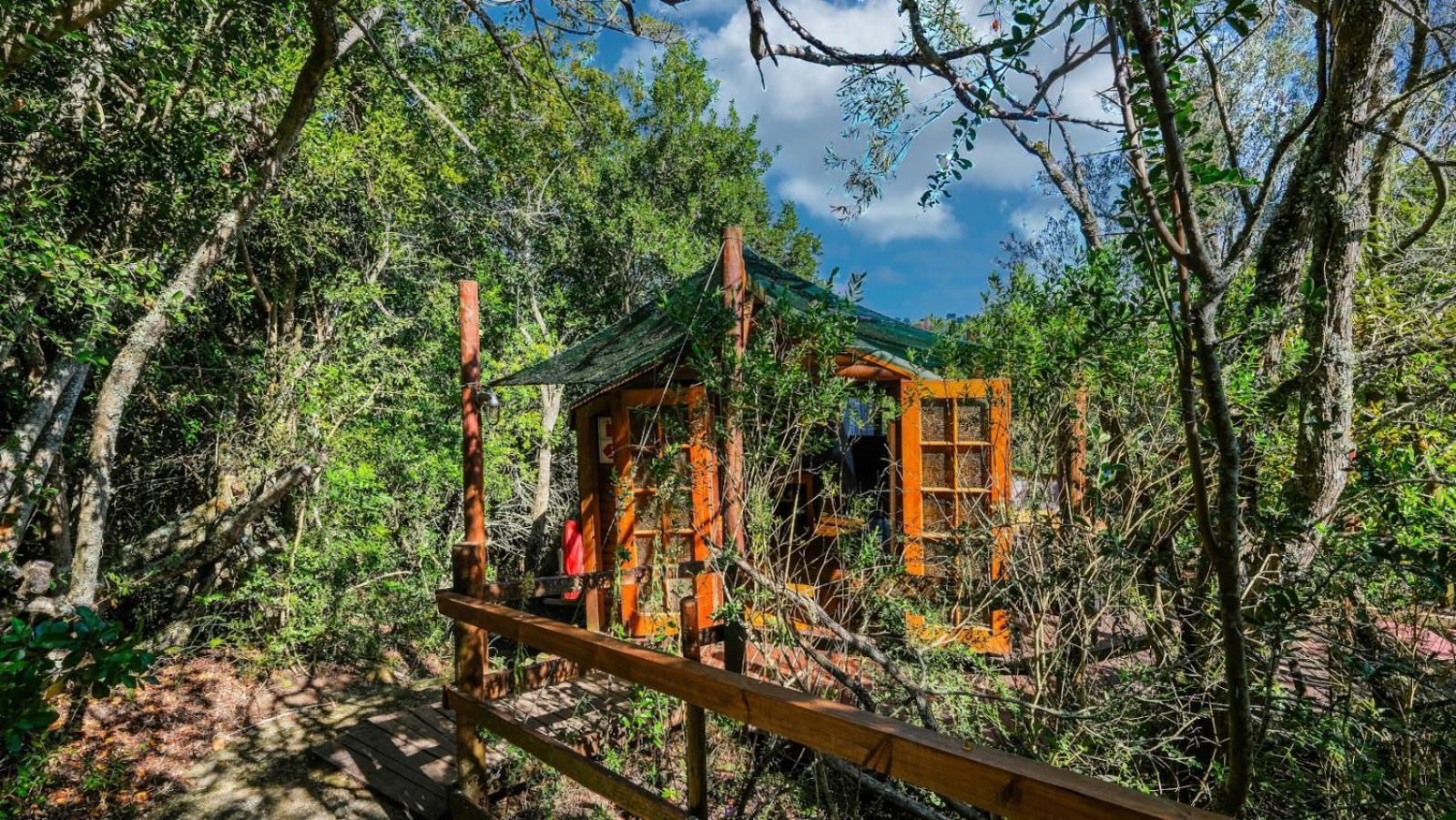 Teniqua Treetops Karatara Settlement Cameră foto
