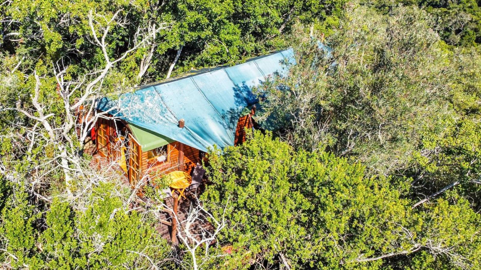 Teniqua Treetops Karatara Settlement Cameră foto