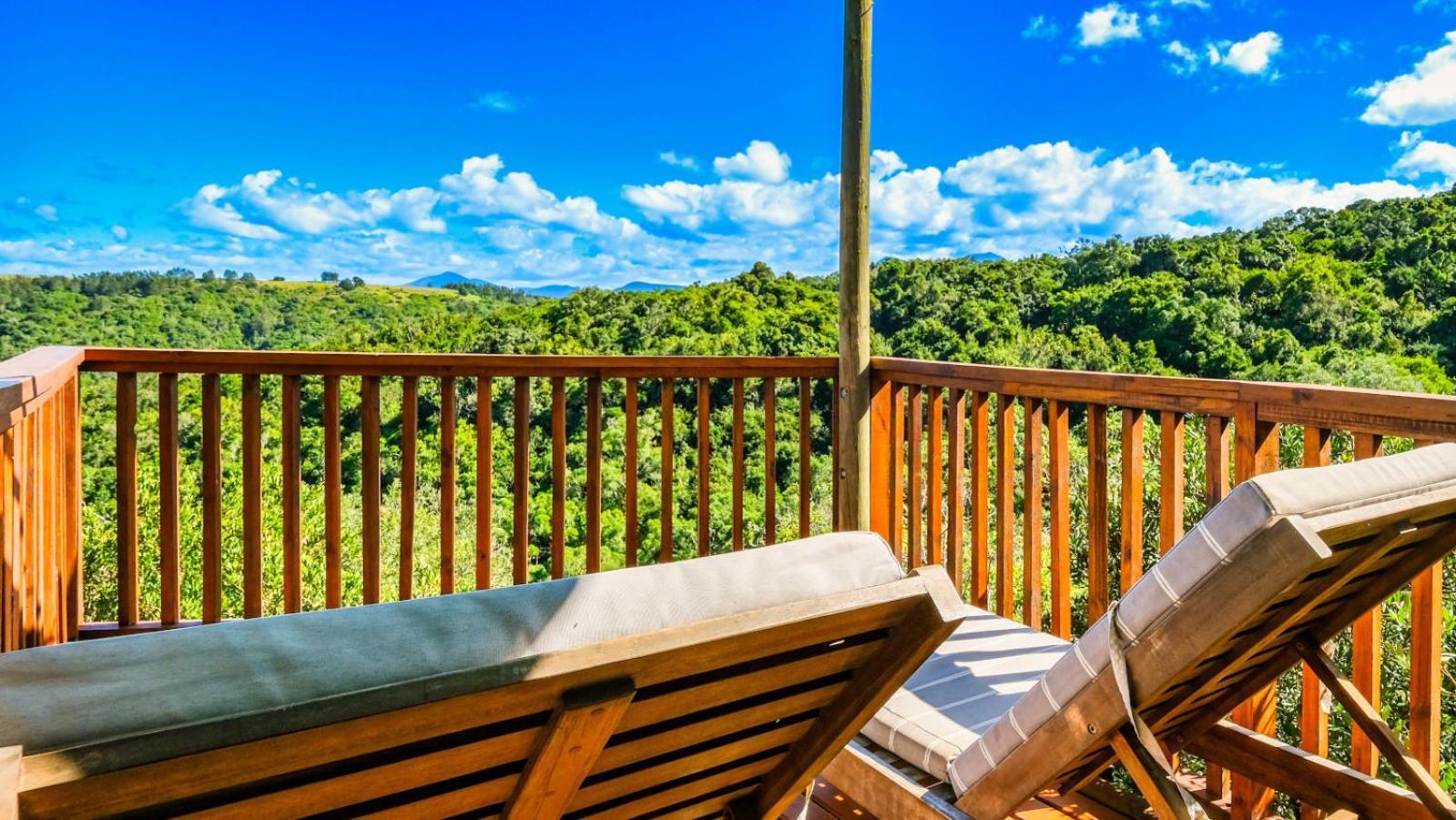 Teniqua Treetops Karatara Settlement Cameră foto