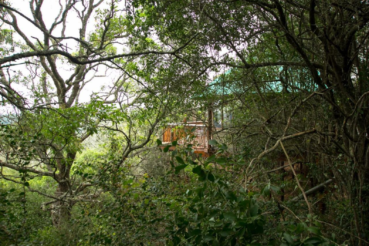 Teniqua Treetops Hotel Karatara Settlement Exterior foto