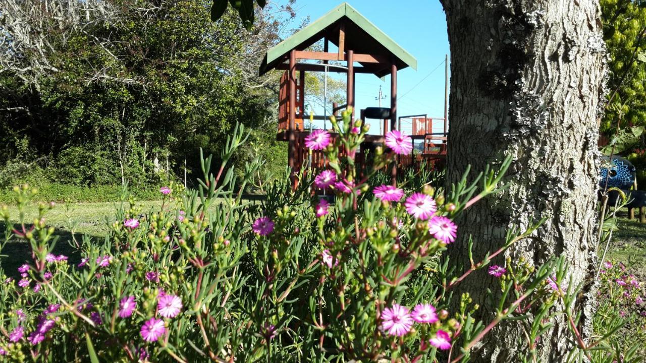 Teniqua Treetops Hotel Karatara Settlement Exterior foto