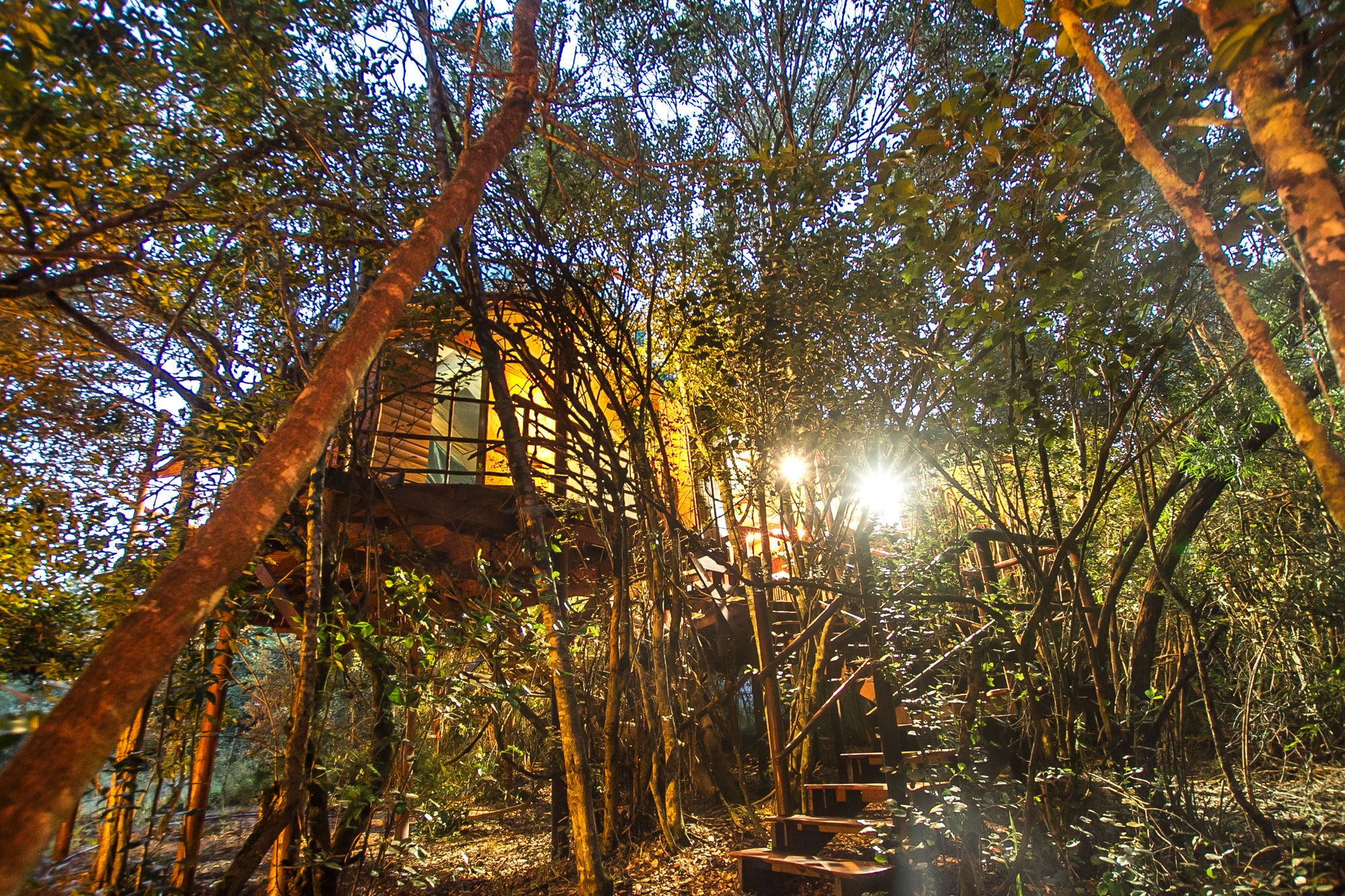 Teniqua Treetops Hotel Karatara Settlement Exterior foto