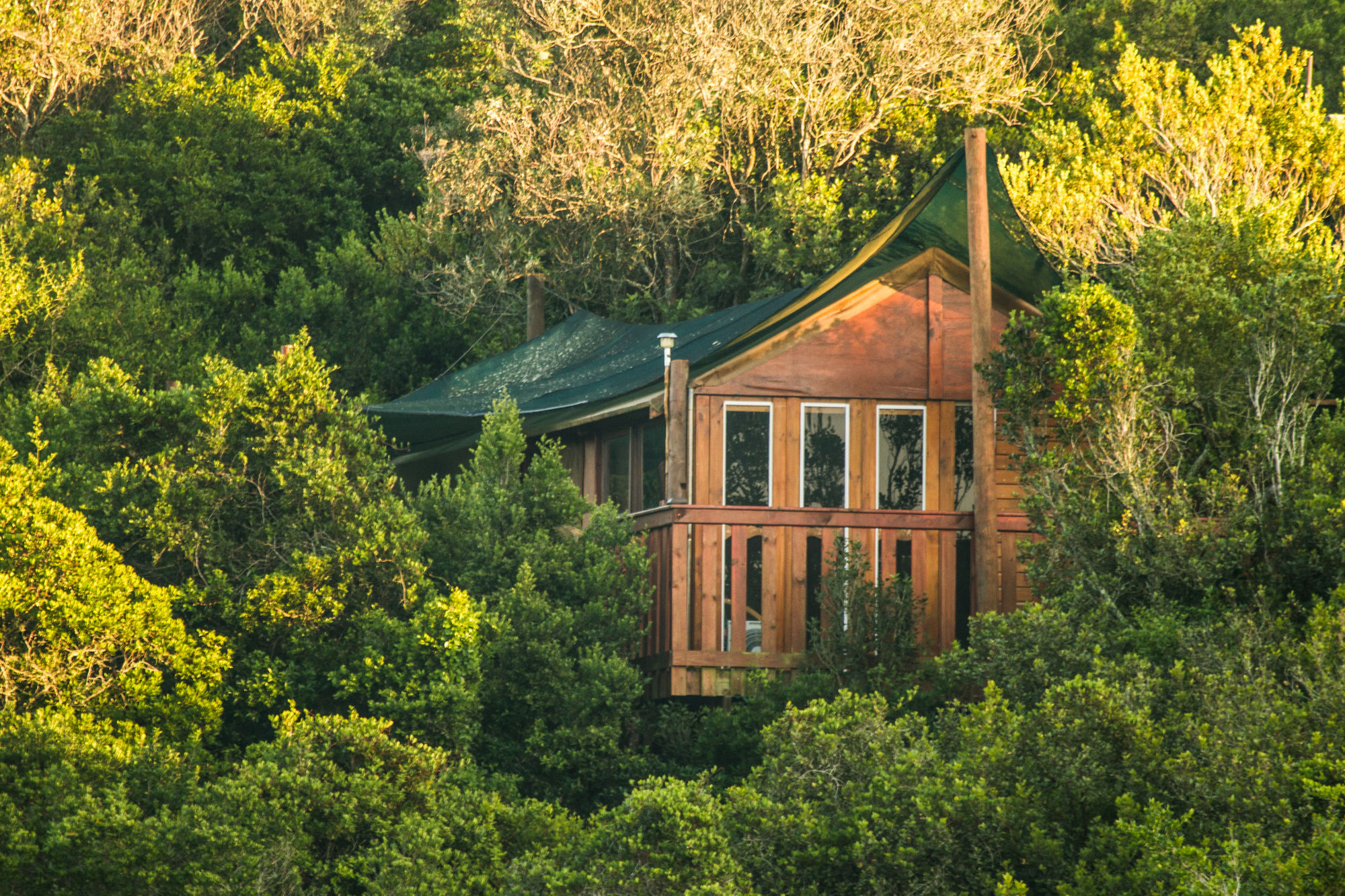 Teniqua Treetops Hotel Karatara Settlement Exterior foto