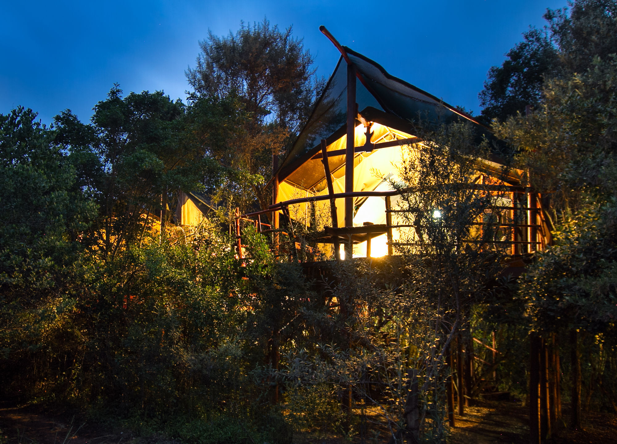 Teniqua Treetops Hotel Karatara Settlement Exterior foto