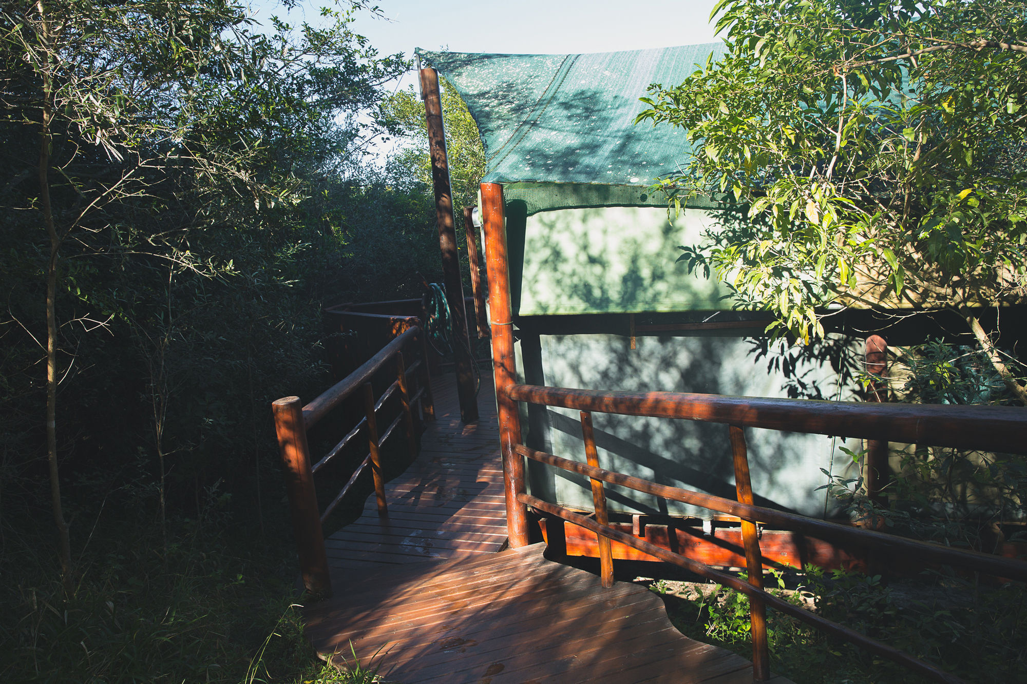 Teniqua Treetops Hotel Karatara Settlement Exterior foto