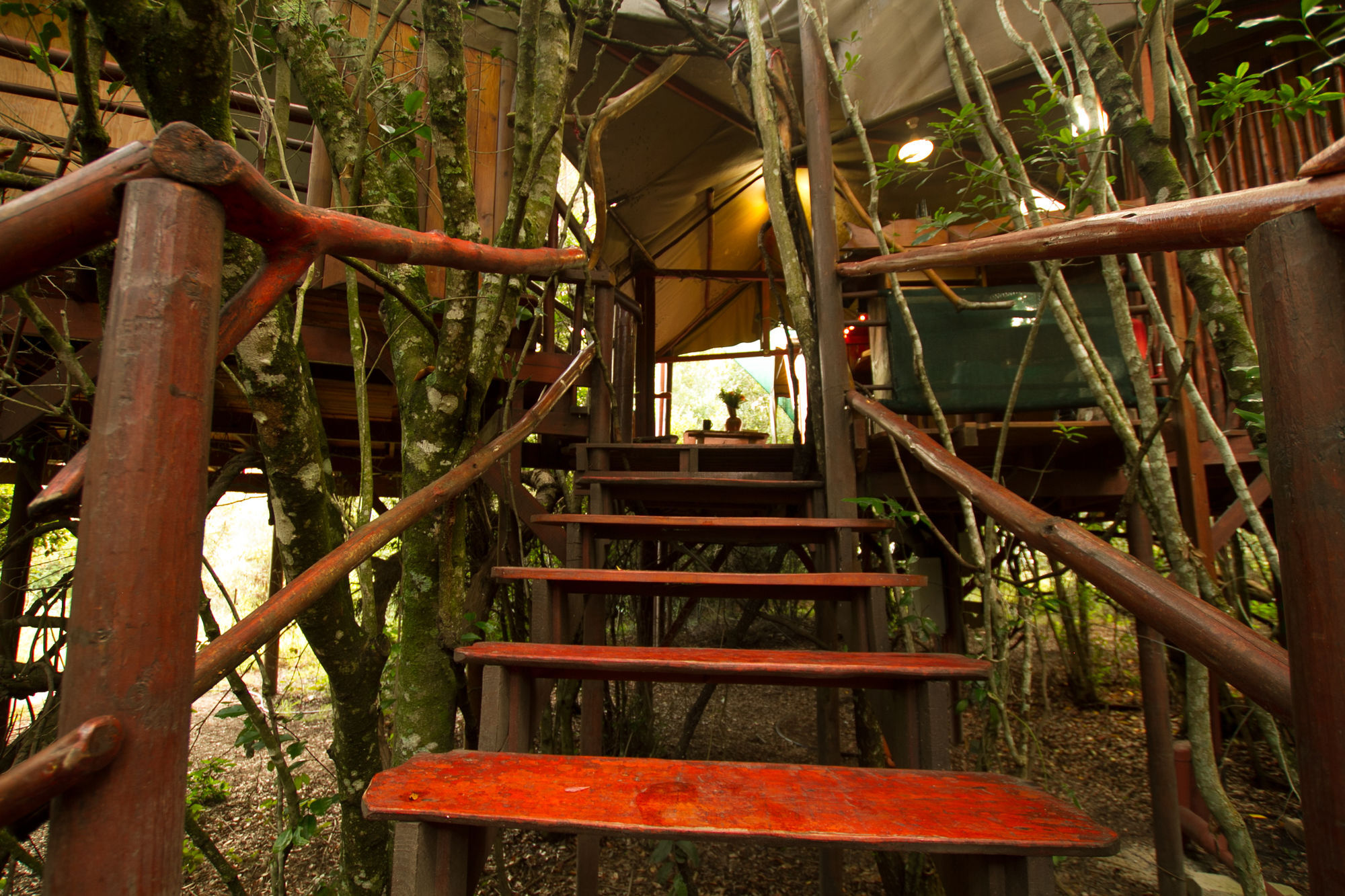 Teniqua Treetops Hotel Karatara Settlement Exterior foto