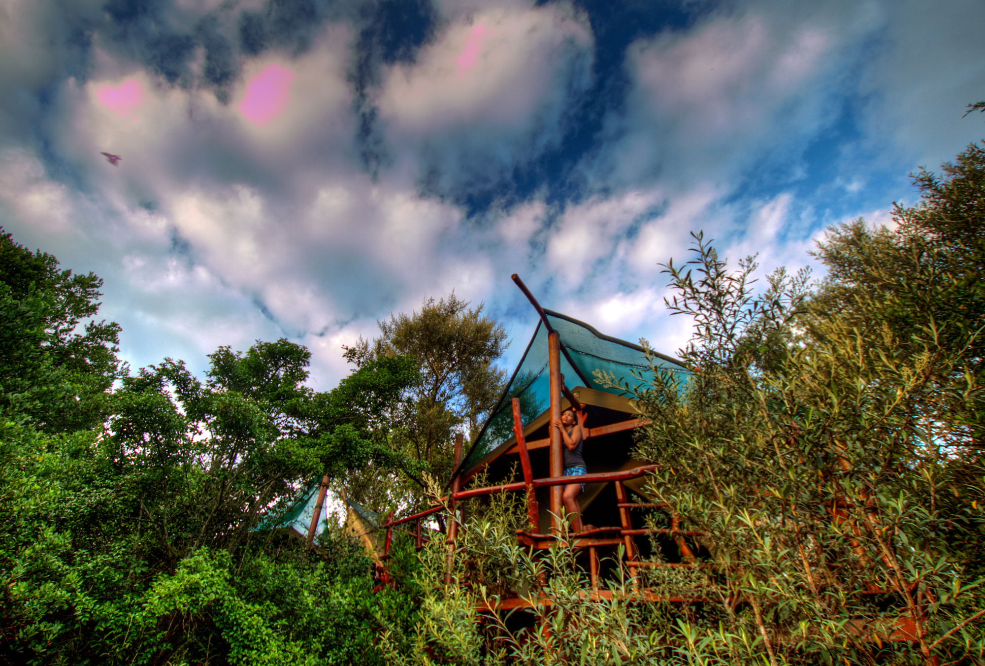 Teniqua Treetops Hotel Karatara Settlement Exterior foto